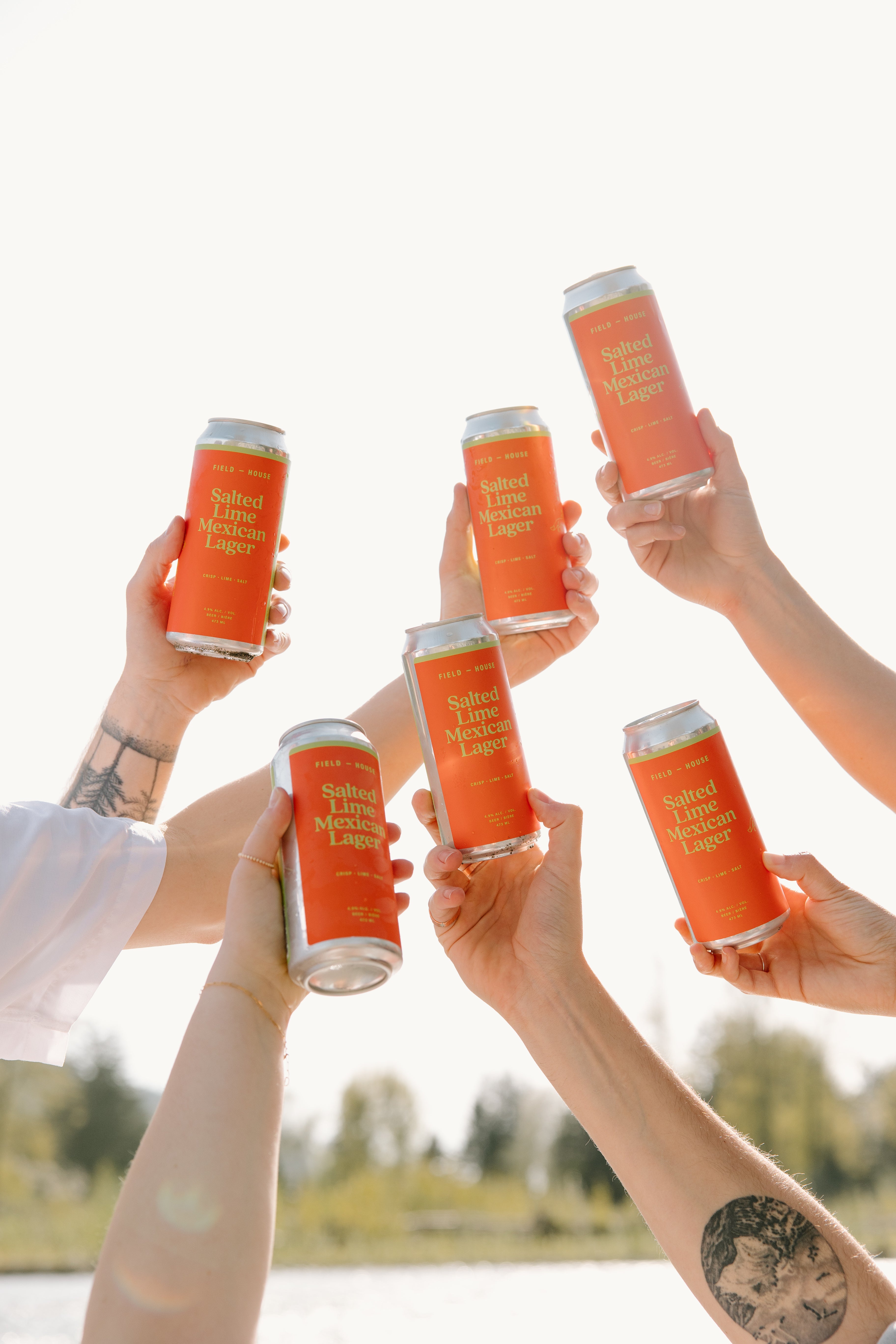 Salted Lime Mexican Lager