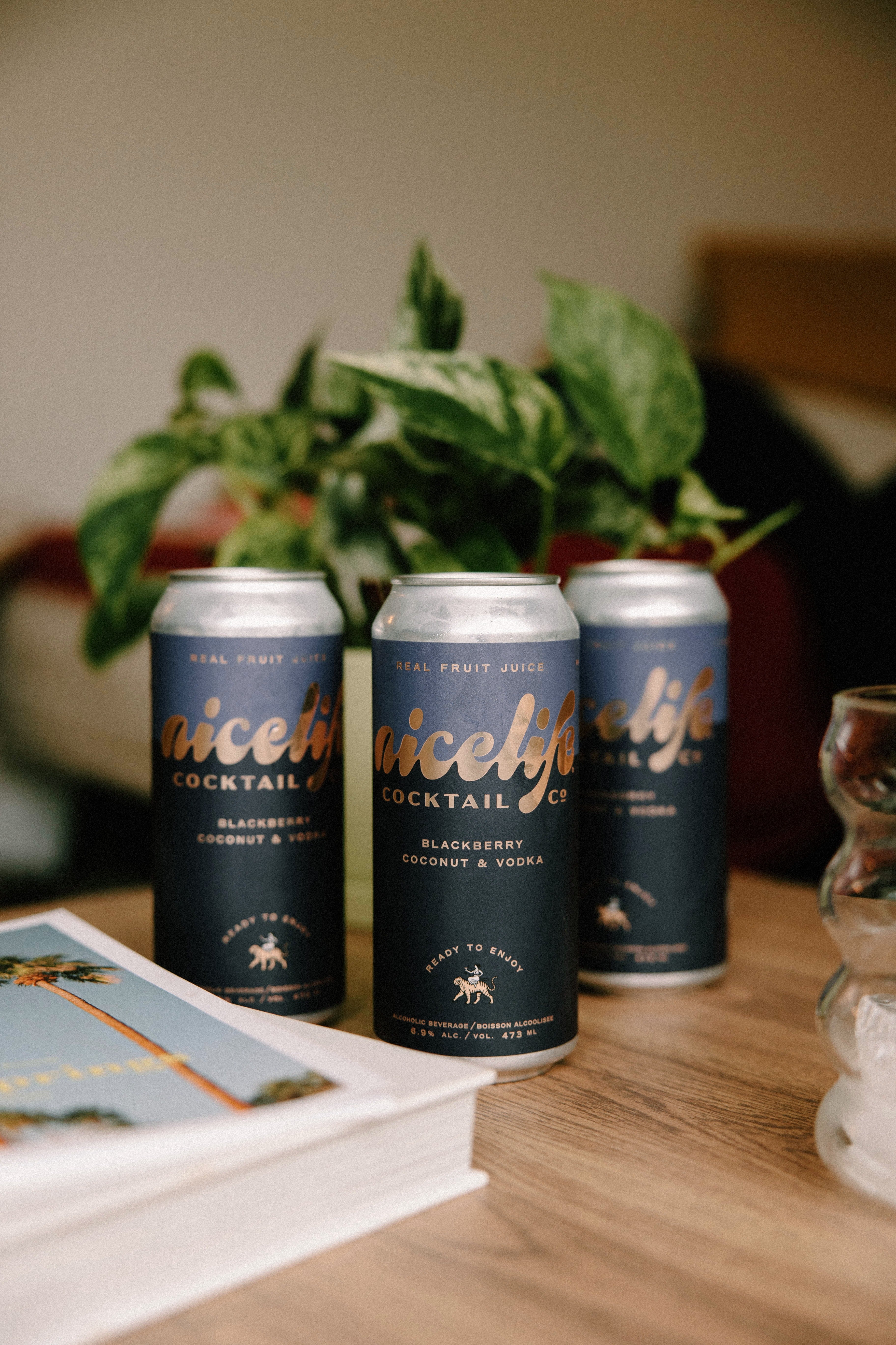 Blackberry Coconut & Vodka