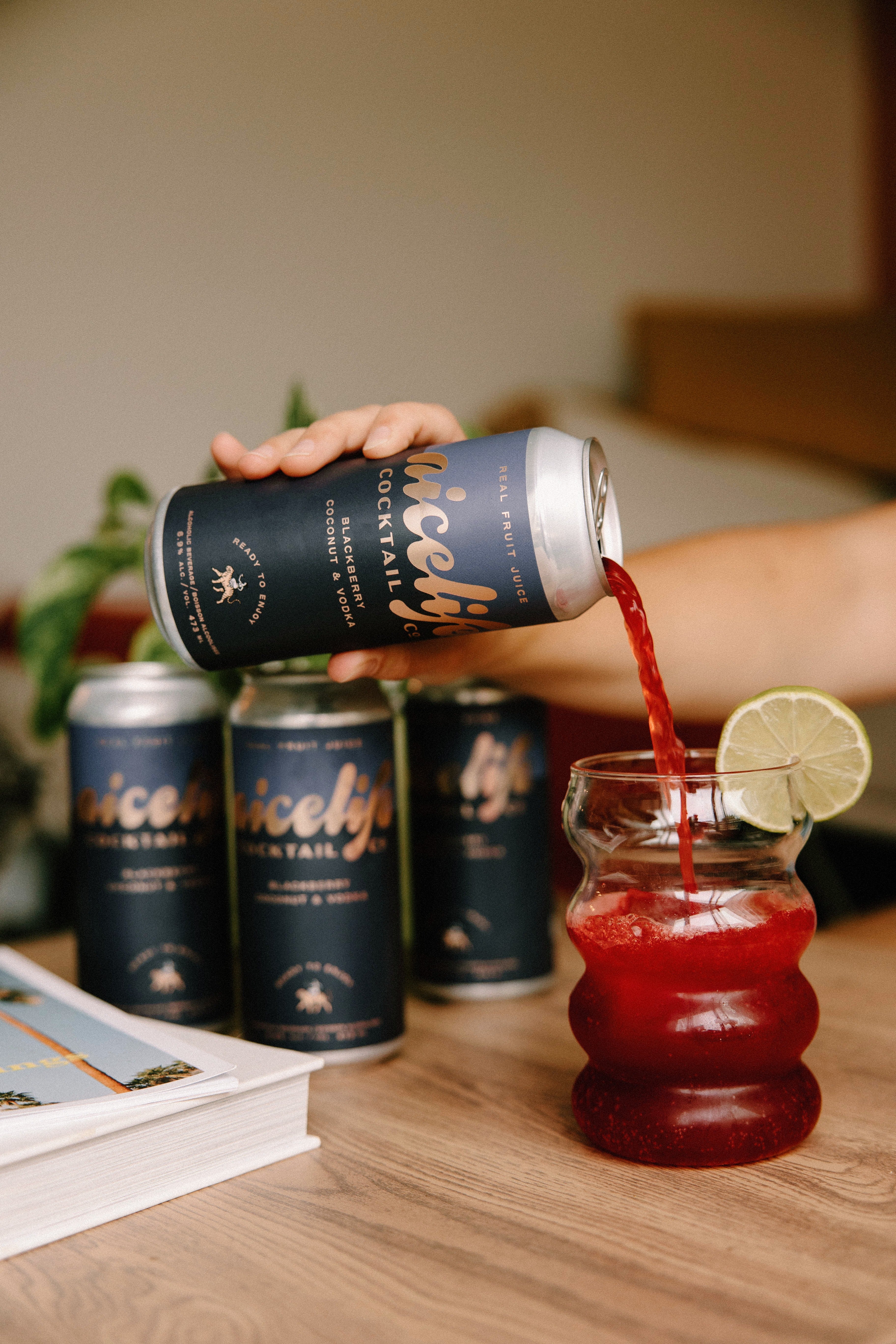 Blackberry Coconut & Vodka