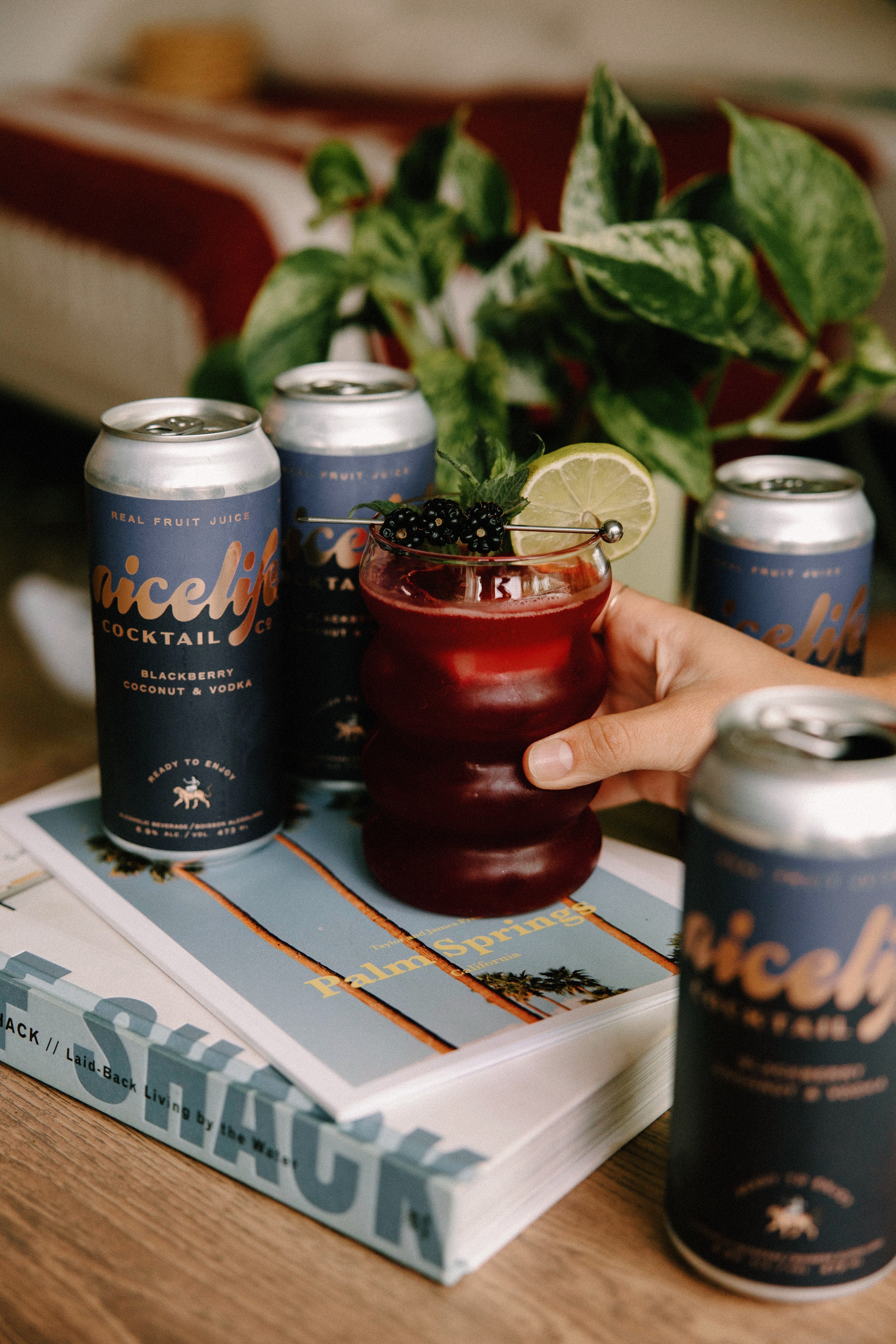 Blackberry Coconut & Vodka