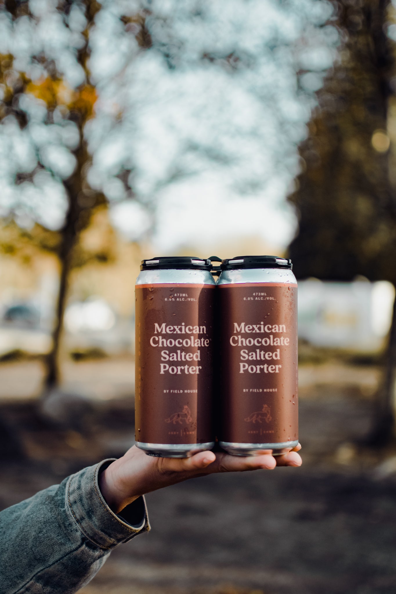 Mexican Chocolate Salted Porter