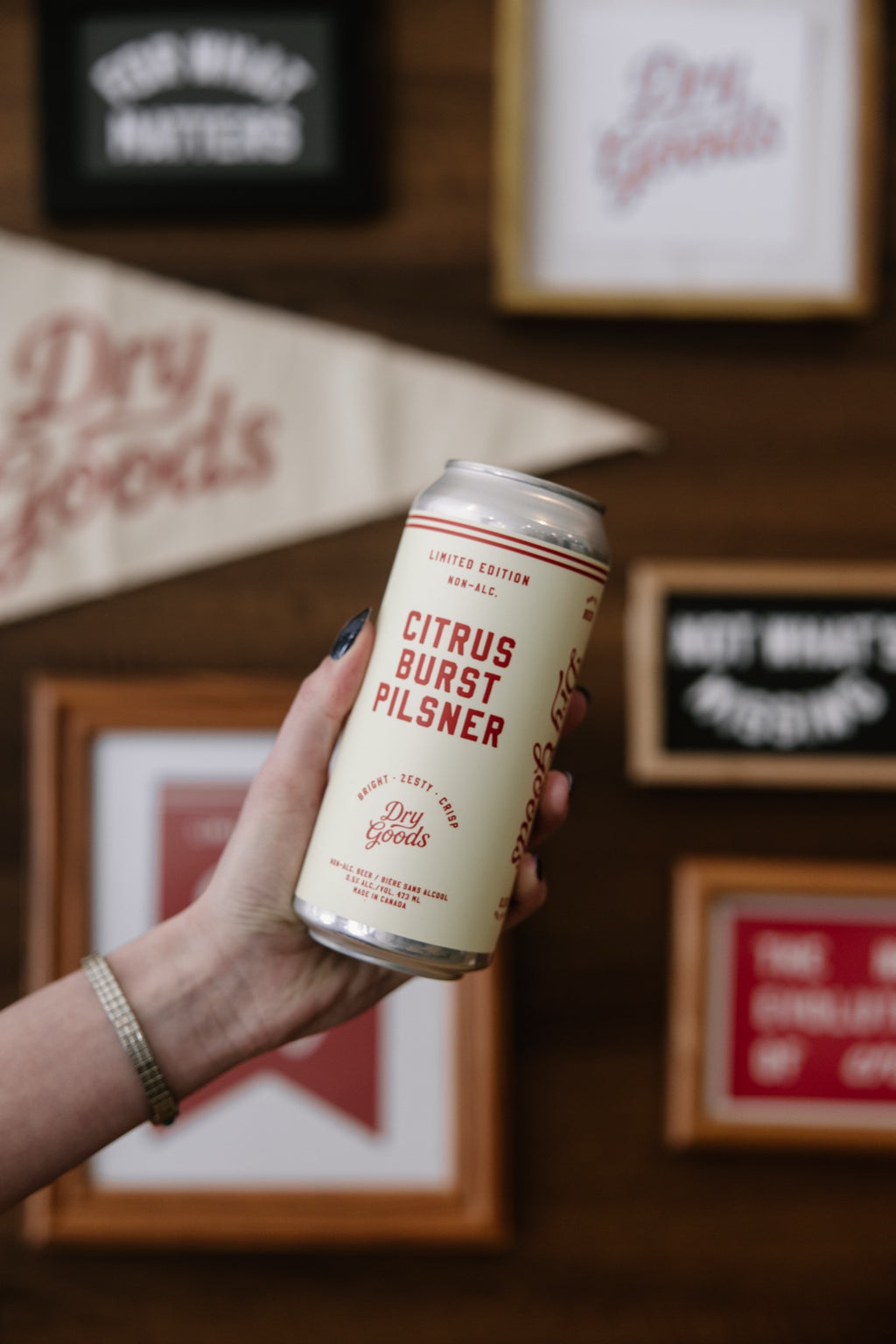 Dry Goods Citrus Burst Pilsner Non-Alc