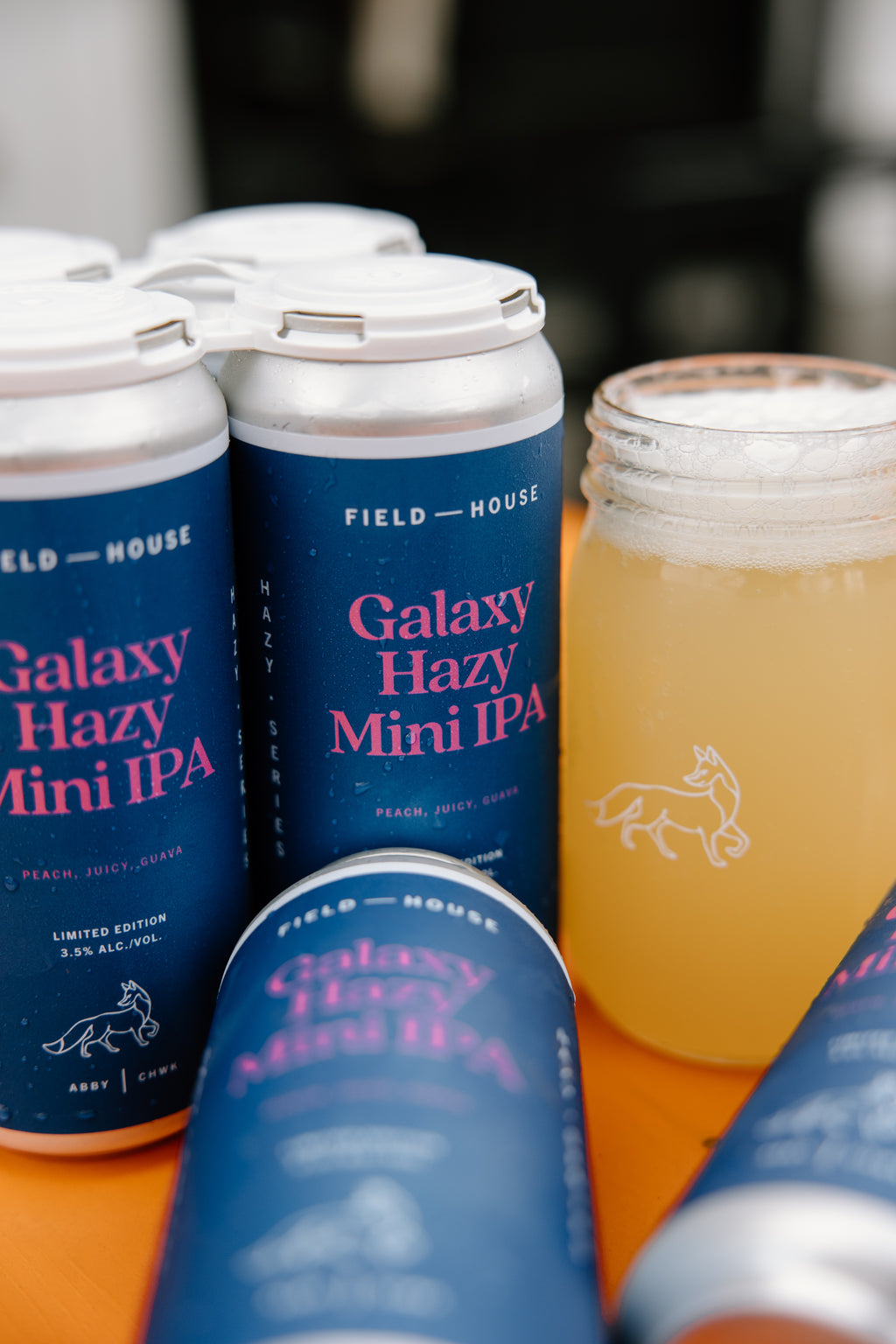 Galaxy Hazy Mini IPA
