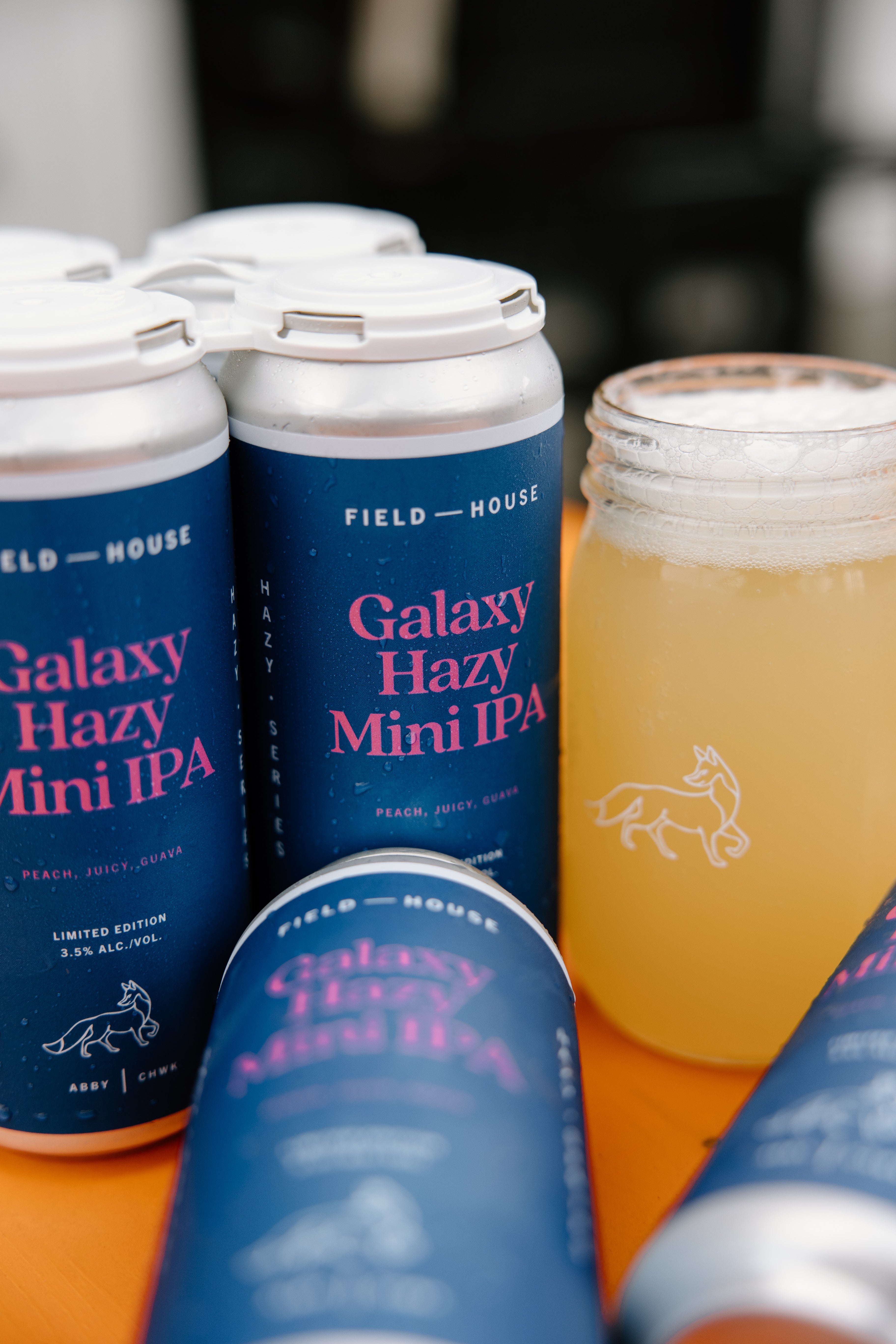 Galaxy Hazy Mini IPA