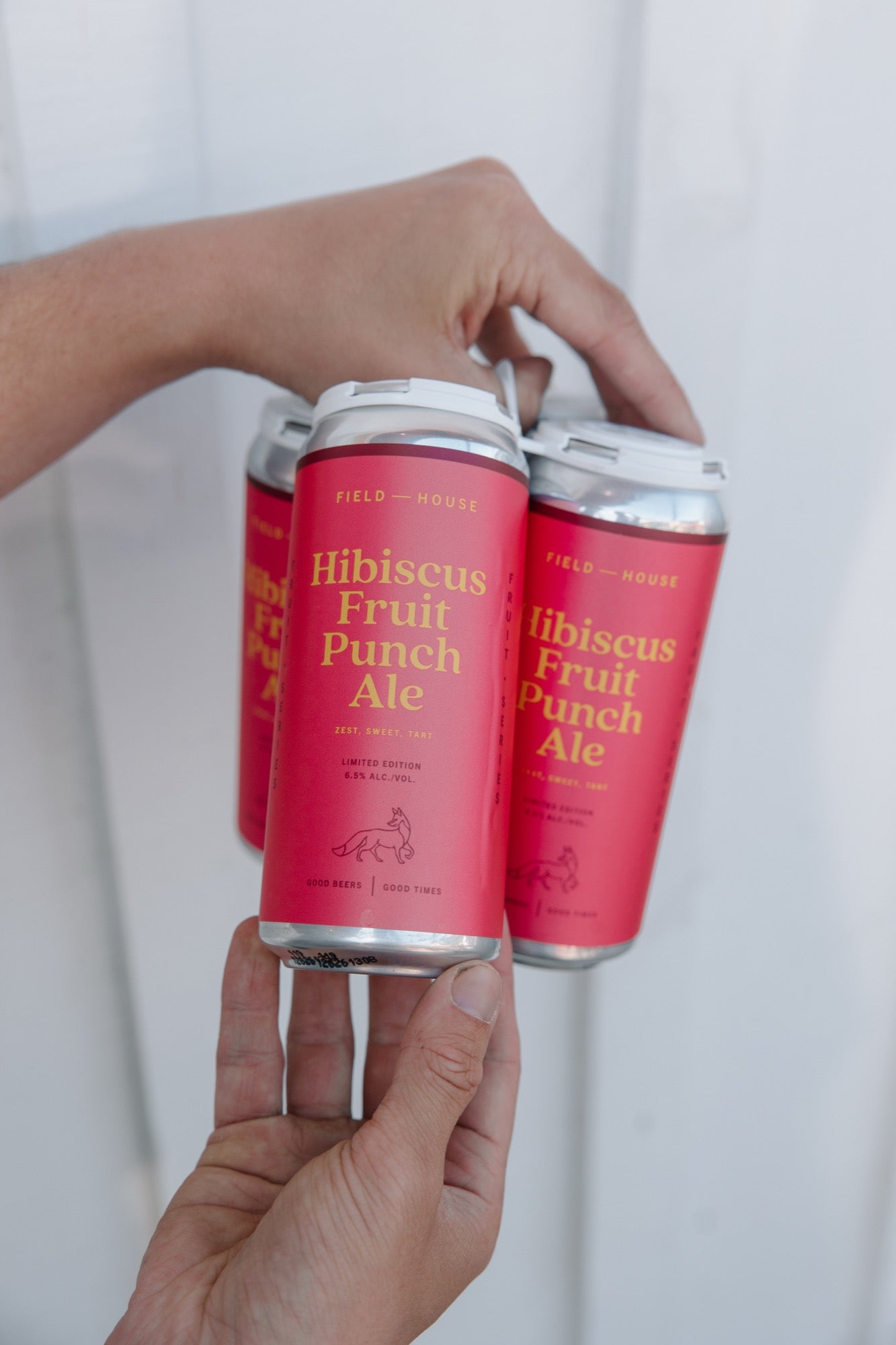 Hibiscus Fruit Punch Ale