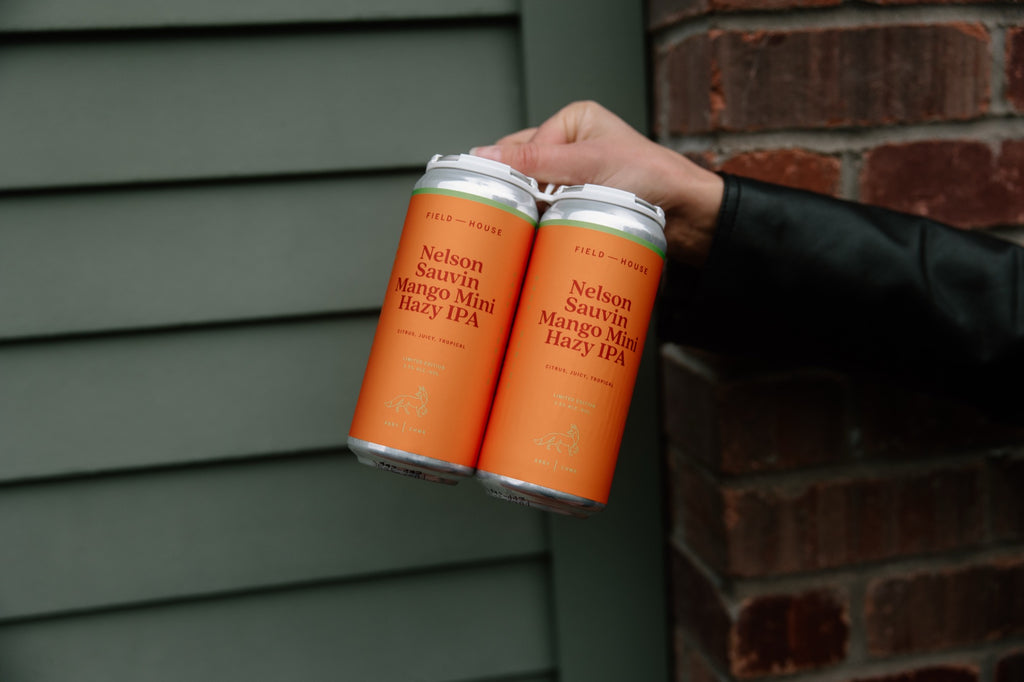 Nelson Sauvin Mango Mini Hazy IPA
