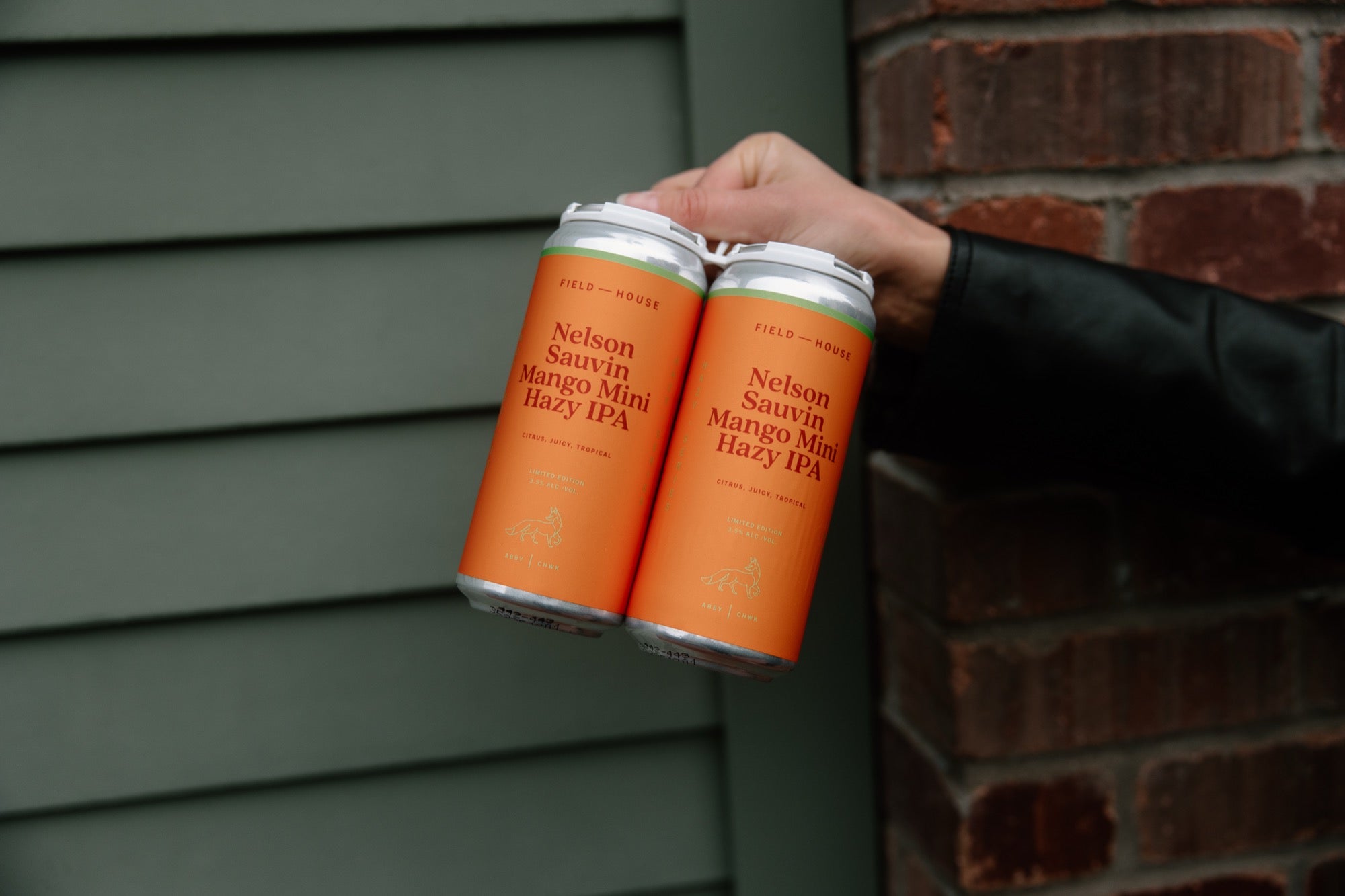 Nelson Sauvin Mango Mini Hazy IPA