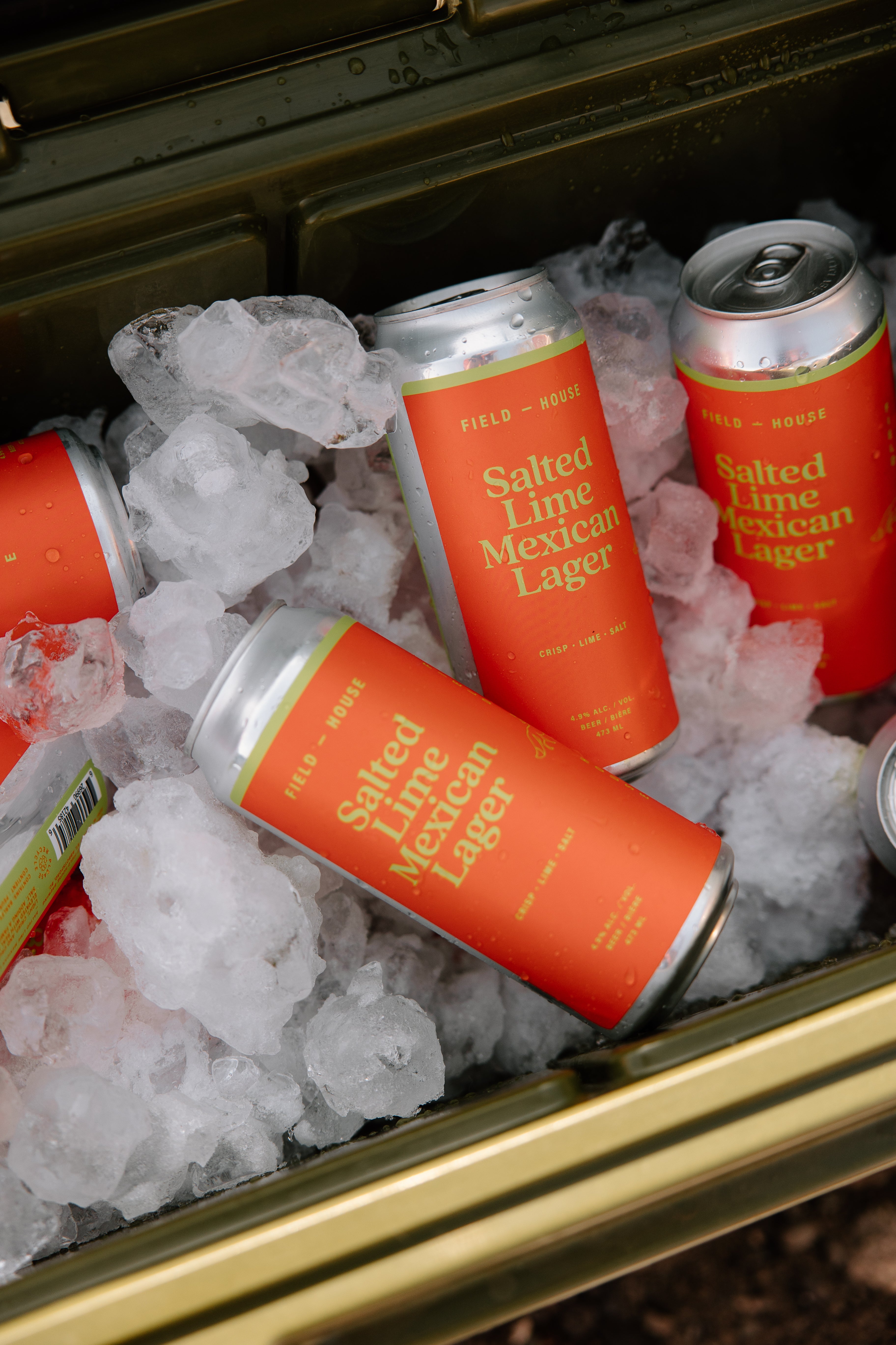 Salted Lime Mexican Lager