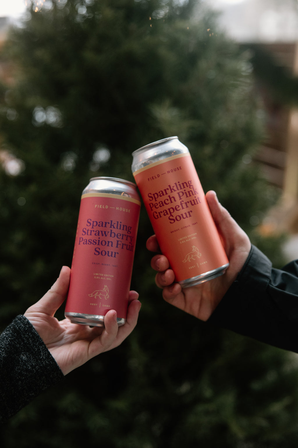 Sparkling Sour Mix Pack