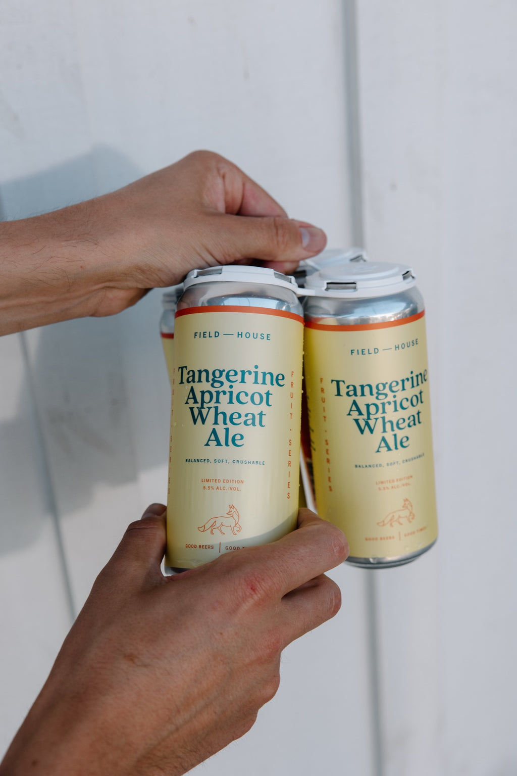 Tangerine Apricot Wheat Ale