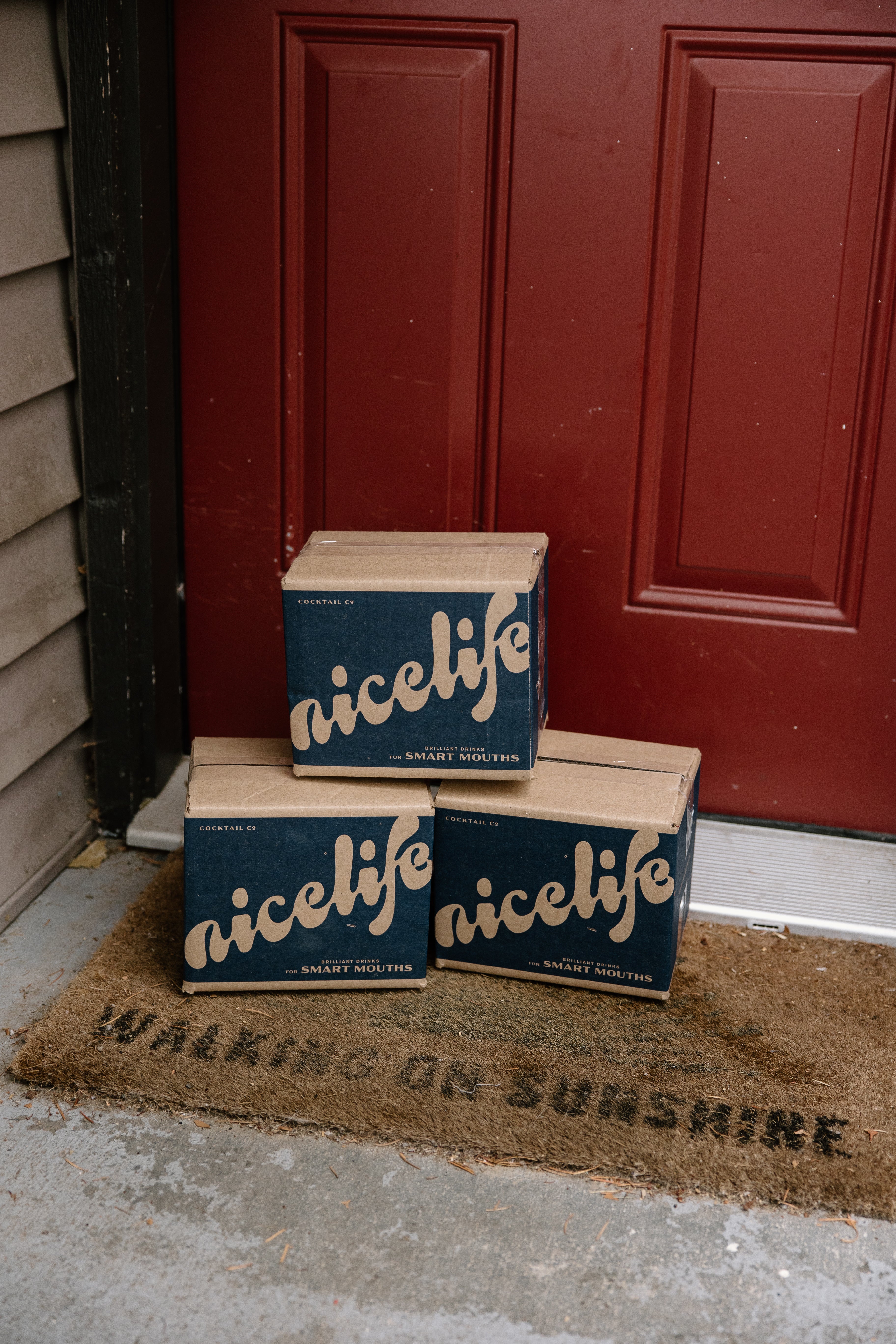 NiceLife Holiday Mix Pack